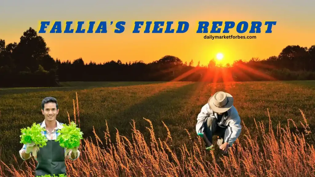 Fallia’s Field Report